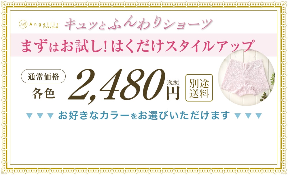 キュッとふんわりショーツまずはお試し！はくだけスタイルアップ 2480円