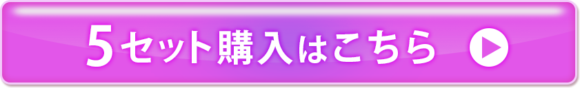 5セット購入はこちら