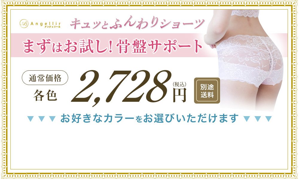 まずはお試し!着るバストケア 通常価格各色2,728円(税込)