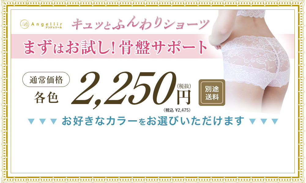 まずはお試し!着るバストケア 通常価格各色2,475円(税込)