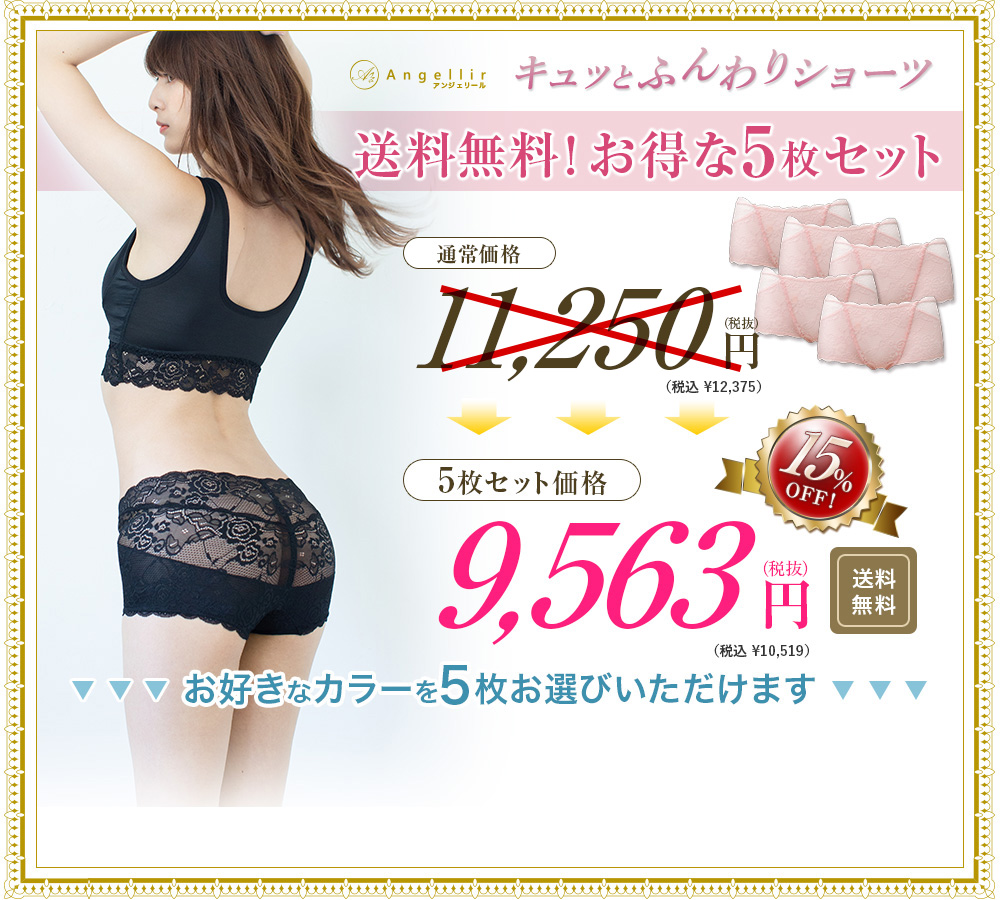 毎日使いたい方に!5枚セット 5セット価格 10,519円(税込)