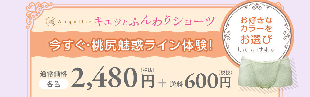 アンジェリール　キュッとふんわりショーツ　今すぐ・桃尻魅惑ライン体験！　お好きなカラーをお選びいただけます　通常価格　各色2,480円（税抜）+送料648円（税抜）