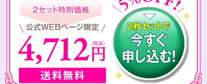 お得！　5%OFF　送料無料！　2枚セットで今すぐ申し込む！